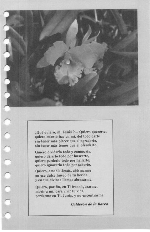 Celebremos Su Gloria page 180