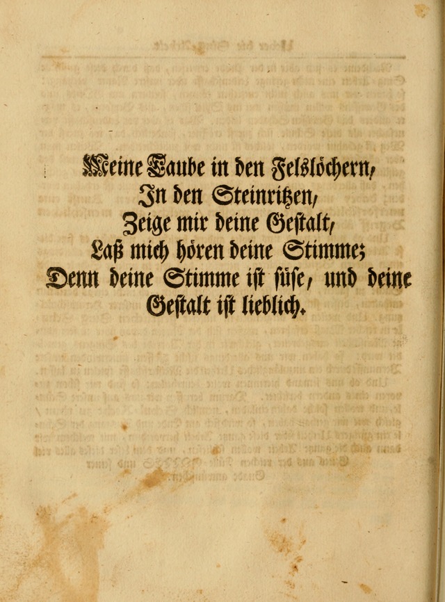 Das Gesäng Der einsamen und verlassenen Turtel-Taube, Nemlich der Christlichen Kirche: oder geistliche u. erfahrungs-volle liedens u. libes-gethöne, als darinnen bendes die volrkost der neuen welt... page xxviii