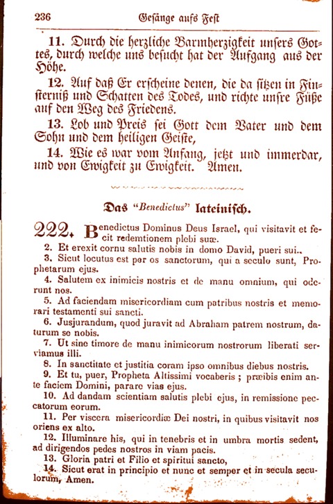 Evangelisch-Lutherisches Gesang-Buch: worin die gebräuchlichsten alten Kirchen-Lieder Dr. M. Lutheri und anderer reinen lehrer und zeugen Gottes, zur Befoerderung der wahren ... (2. verm. Aus.) page 237