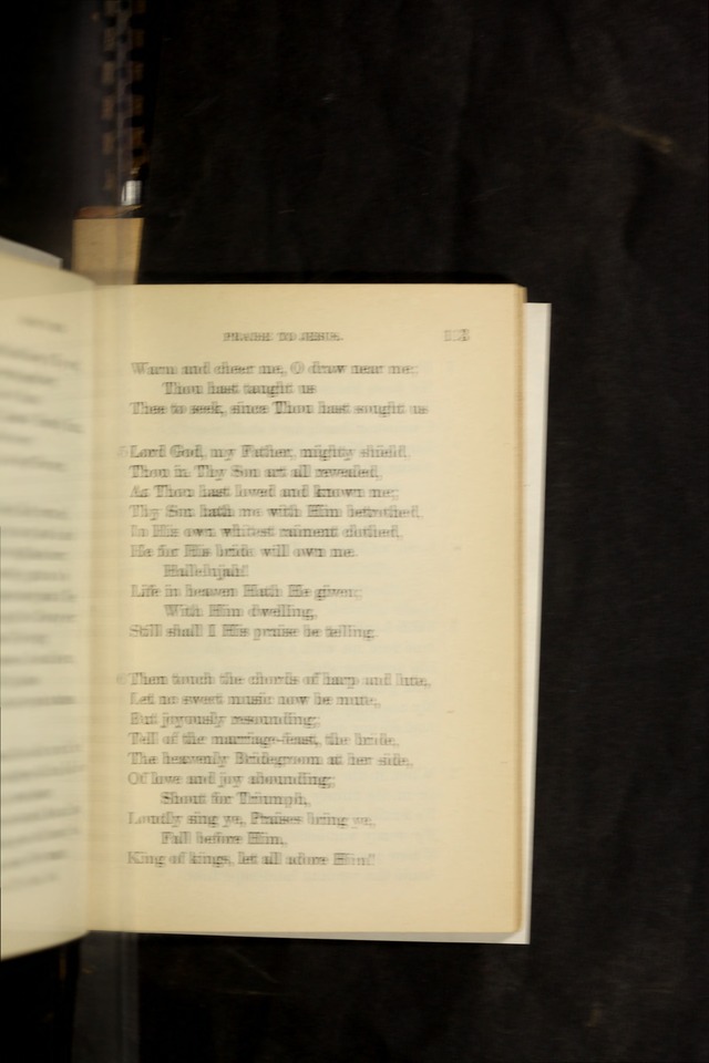 Hymn Book: for the use of Evangelical Lutheran schools and congregations page 119