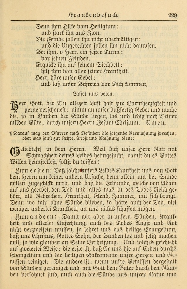 Kirchenbuch für Evangelisch-Lutherische Gemeinden page 229