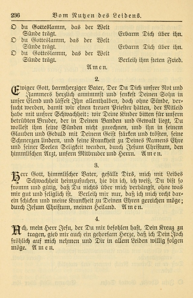 Kirchenbuch für Evangelisch-Lutherische Gemeinden page 236