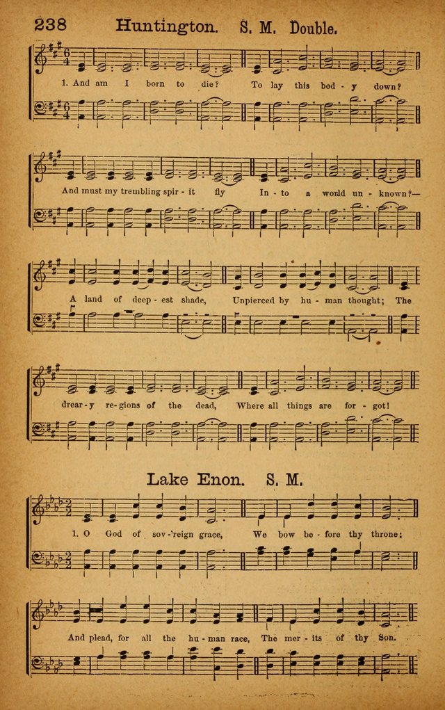 New Hymn and Tune Book: an Offering of Praise for the Use of the African M. E. Zion Church of America page 243