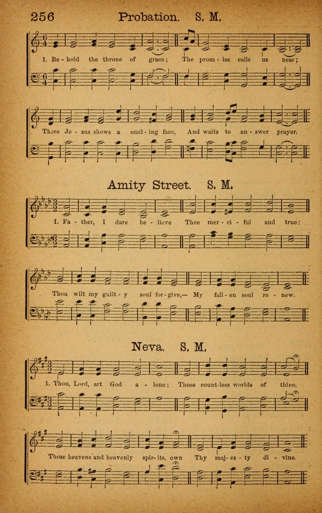 New Hymn and Tune Book: an Offering of Praise for the Use of the African M. E. Zion Church of America page 261