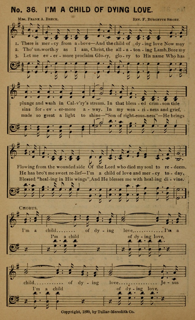 Sermons in Song No. 2: for use in Gospel Meetings and other religious services page 41