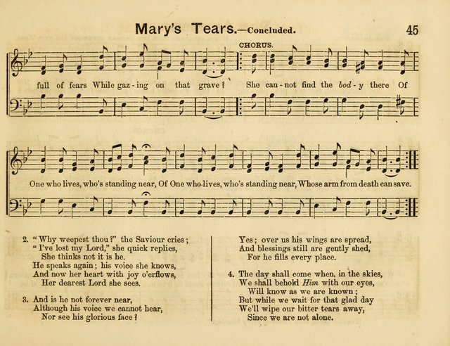 The Sweet Singer: a collection of hymns and tunes for Sunday-schools. Together with a variety suitable for day-schools, revival occasions, and the family circle page 45