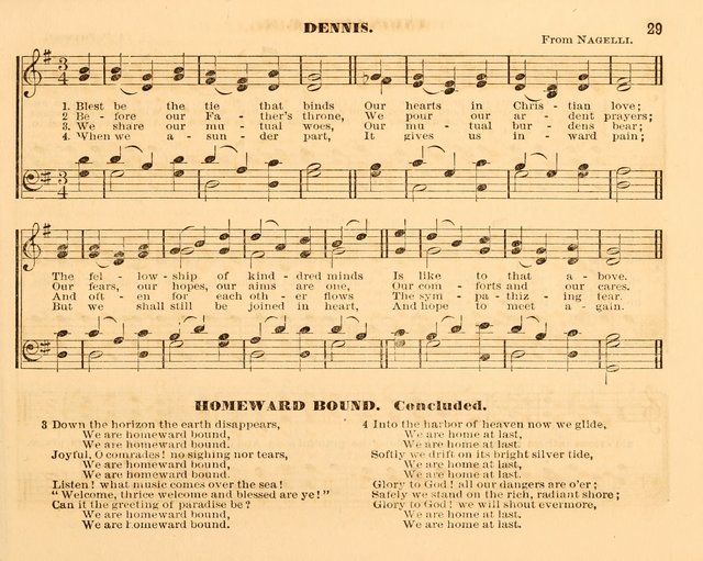 The Violet: a book of music and hymns, with lessons of instruction designed for Sunday Schools, social meetings, and home circles page 29